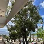 Bella Vista